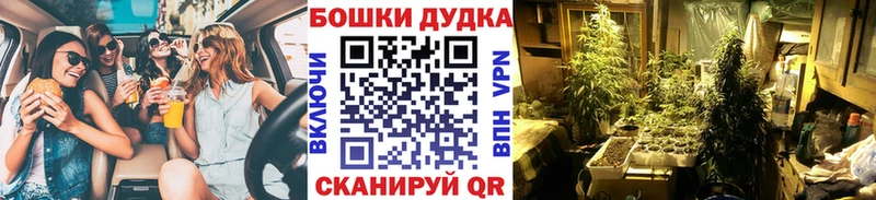 закладка  Почеп  Бошки Шишки индика 